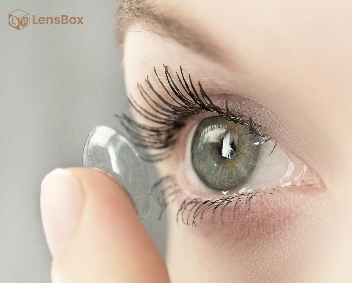 TẠI SAO LENS NGÀY CÀNG PHỔ BIẾN?