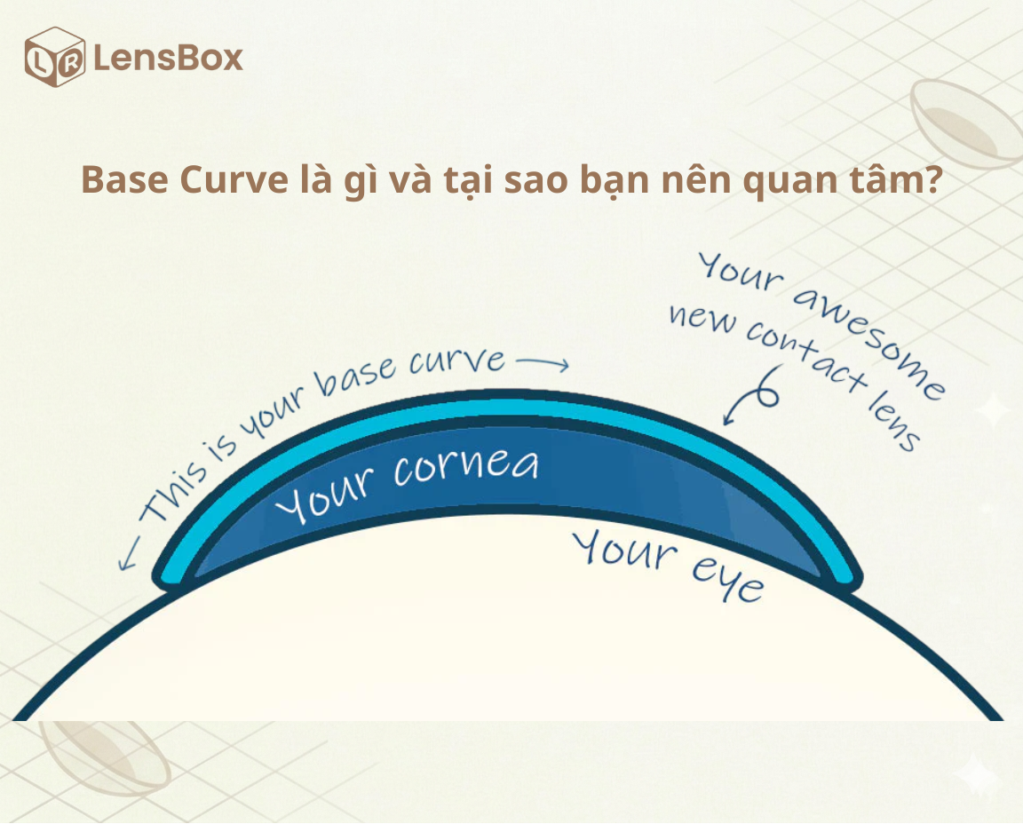 Base Curve là gì và tại sao bạn nên quan tâm khi chọn kính áp tròng?